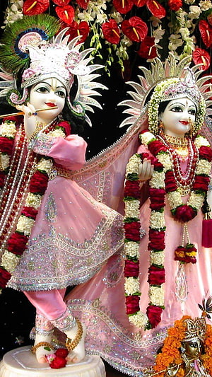 Radha Krishna Temple Idol in Pink Attire with Floral Garlands and Ornate Headdresses HD phone wallpaper