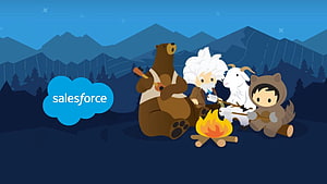 Salesforce Developer Experience Illustration with Campfire Characters and Mountain Landscape HD wallpaper