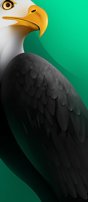 Stylized Bald Eagle Portrait with Detailed Black Feathers on a Vibrant Green Background HD phone wallpaper