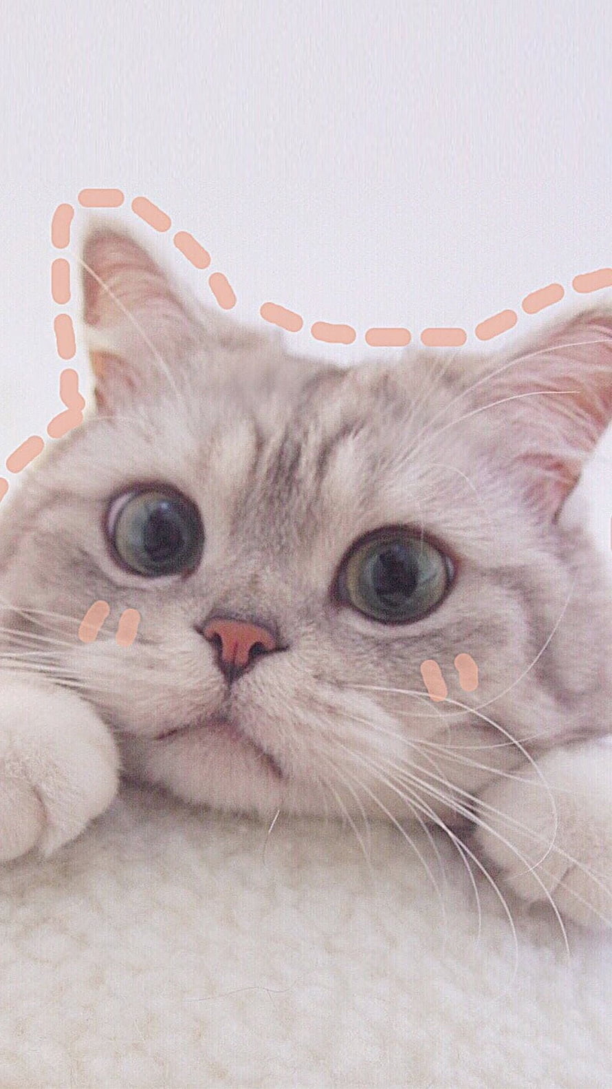 Adorable Silver Tabby Kitten With Wide Eyes And Cute Doodle Overlay HD phone wallpaper
