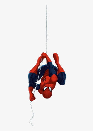 Spider-Man Hanging Upside Down From Web Against White Background HD phone wallpaper