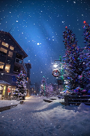 Snowy Christmas Street at Night with Illuminated Trees and Falling Snowflakes HD phone wallpaper