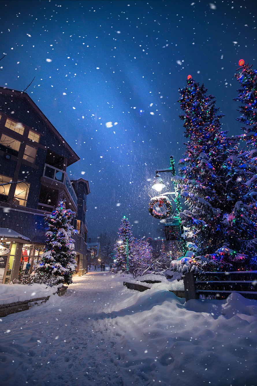 Snowy Christmas Street at Night with Illuminated Trees and Falling Snowflakes HD phone wallpaper