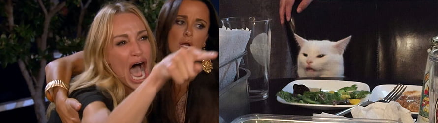 Woman Yelling at a Cat Meme Split Screen with Restaurant Scene, Woman Yelling at a Cat (meme) : multiwall, Dual Monitor Cat HD wallpaper