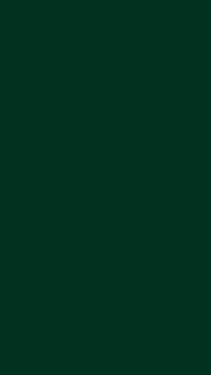 Deep Forest Green Solid Color Minimalist Mobile Wallpaper HD phone wallpaper