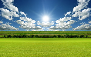 Vast Green Meadow Under Bright Sun And Fluffy White Clouds In Blue Sky HD wallpaper