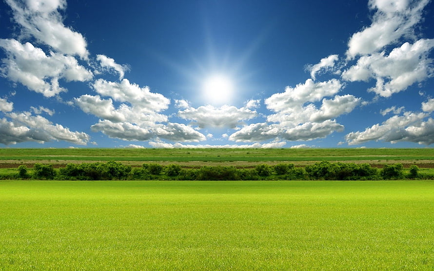 Vast Green Meadow Under Bright Sun And Fluffy White Clouds In Blue Sky HD wallpaper