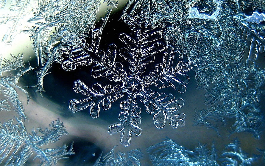 Intricate Snowflake Crystal Structure Captured in Macro Detail Against a Dark Background HD wallpaper