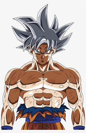 Goku Ultra Instinct Mastered Anime Character Illustration HD phone wallpaper