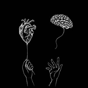Heart and Brain Line Art Illustration on Black Background HD phone wallpaper