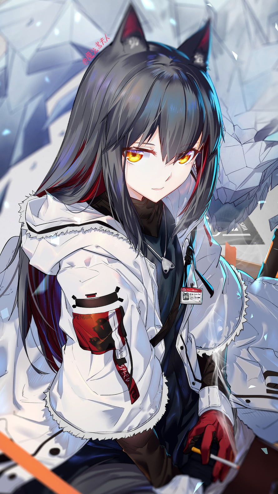 Texas from Arknights in a white winter jacket with glowing amber eyes and wolf ears HD phone wallpaper