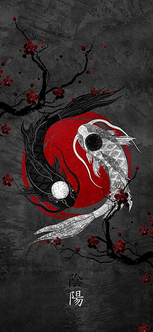 Yin and Yang Koi Fish Artwork with Red Cherry Blossoms on Dark Textured Background HD phone wallpaper