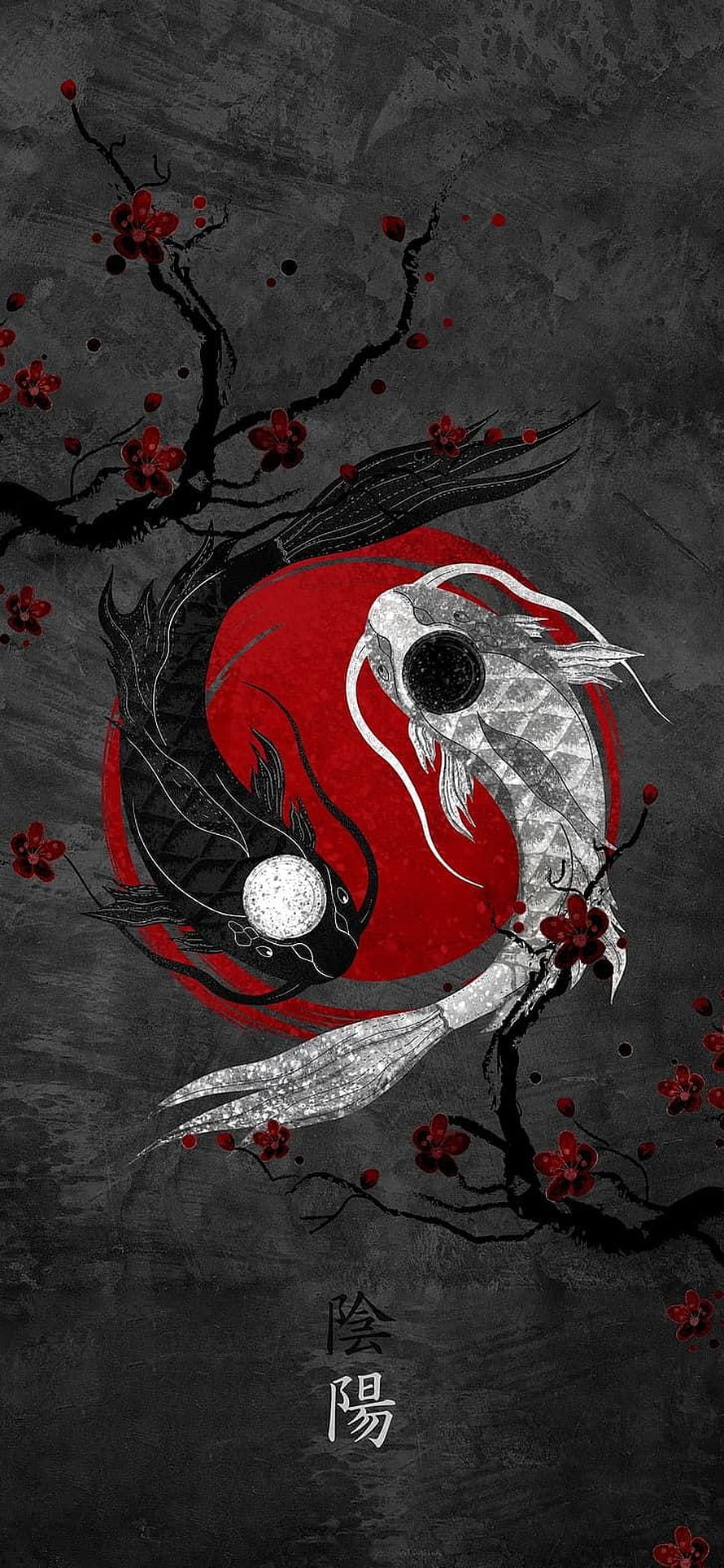 Yin and Yang Koi Fish Artwork with Red Cherry Blossoms on Dark Textured Background HD phone wallpaper