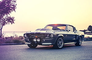 Black Ford Mustang Shelby GT500 Eleanor Classic Muscle Car at Sunset HD wallpaper