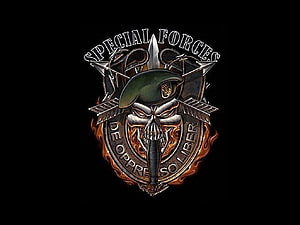 Special Forces Skull Emblem with Beret and Crossed Arrows on Black Background HD wallpaper