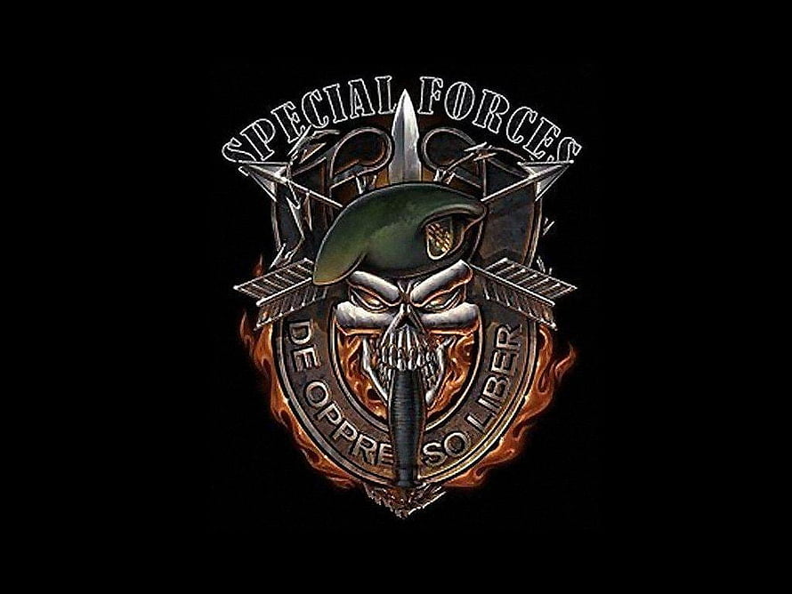 Special Forces Skull Emblem with Beret and Crossed Arrows on Black Background HD wallpaper