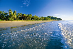 Tropical Beach Landscape With Gentle Waves And Palm Trees Under A Clear Blue Sky HD wallpaper
