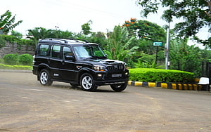 Black Mahindra Scorpio SUV Driving on a Paved Road with Lush Greenery HD wallpaper