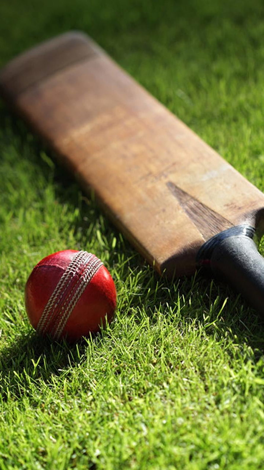 Classic Cricket Bat and Red Ball Resting on Vibrant Green Grass HD phone wallpaper