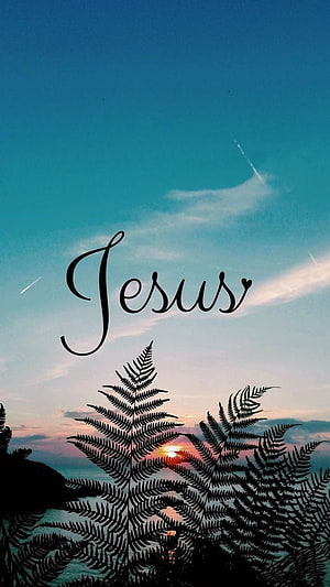 Jesus Calligraphy Over Serene Sunset Sky With Silhouetted Ferns HD phone wallpaper