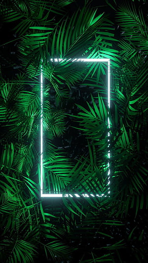 Glowing Neon Rectangle Frame Set Against Dark Tropical Palm Leaves HD phone wallpaper
