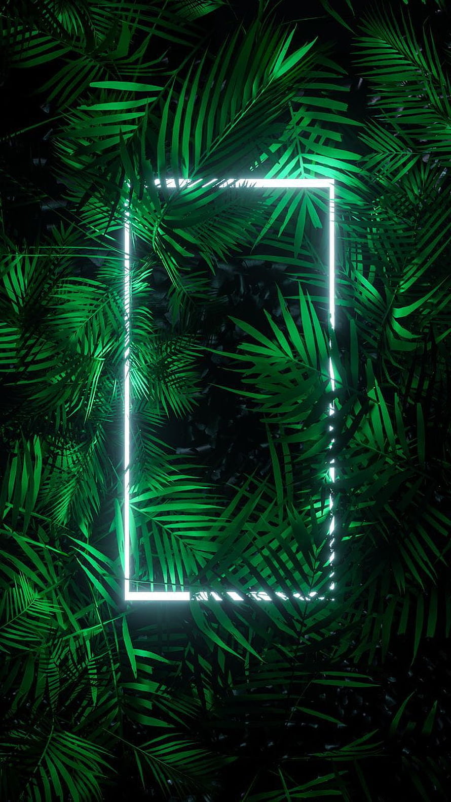 Glowing Neon Rectangle Frame Set Against Dark Tropical Palm Leaves HD phone wallpaper