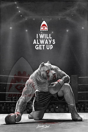 Ground Shark Pitbull Boxer Kneeling in Ring with Motivational Quote HD phone wallpaper