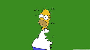 Homer Simpson Cartoon Character on Solid Green Background HD wallpaper