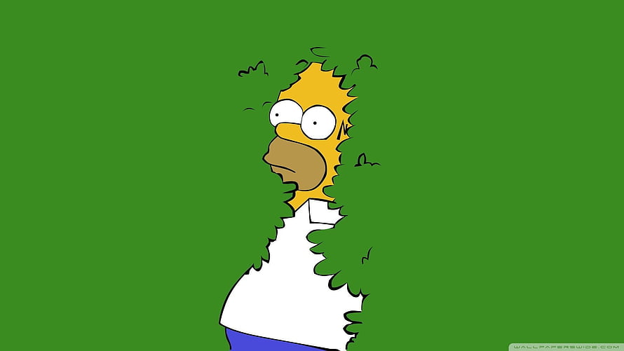 Homer Simpson Cartoon Character on Solid Green Background HD wallpaper