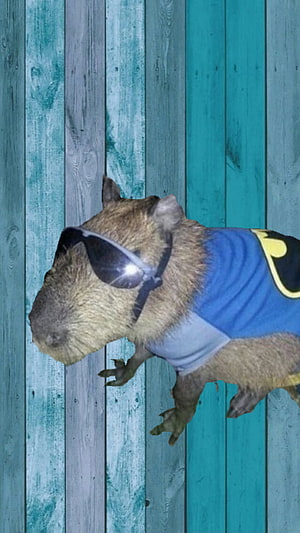 Capybara Wearing Sunglasses and Blue Jersey Against Teal Wood Panel Background HD phone wallpaper