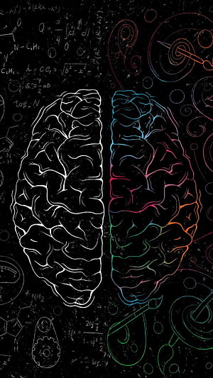 Dual Brain Illustration with Mathematical Equations and Neon Color Accents on Black Background HD phone wallpaper