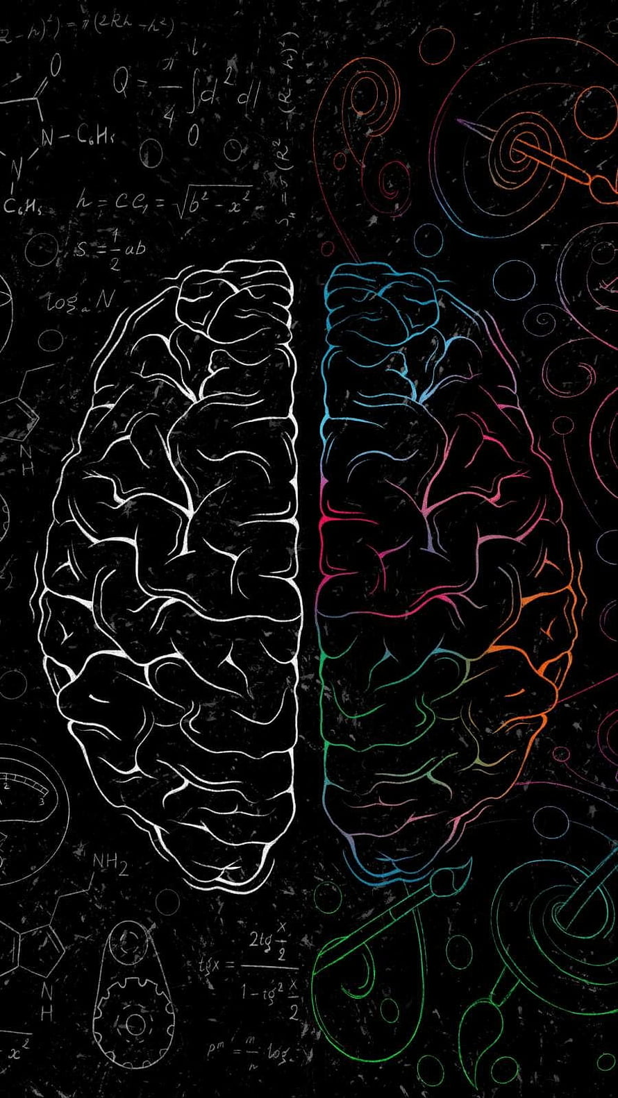 Dual Brain Illustration with Mathematical Equations and Neon Color Accents on Black Background HD phone wallpaper