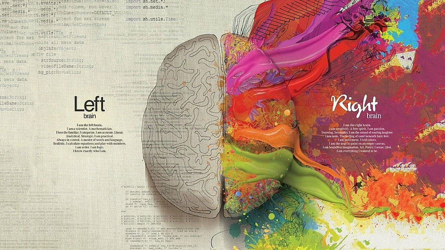 Left Brain Right Brain Concept Artwork with Code and Colorful Paint Splashes HD wallpaper