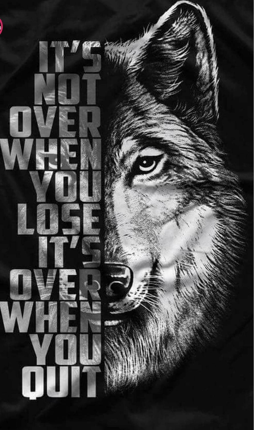 Black and White Wolf Portrait with Motivational Quote on Dark Background HD phone wallpaper