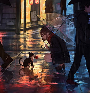 Anime Girl Offering A Red Rose To A Black Cat On A Rainy City Street HD phone wallpaper