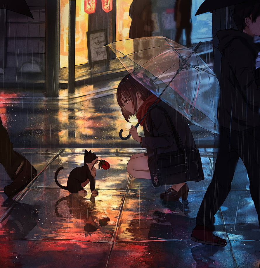 Anime Girl Offering A Red Rose To A Black Cat On A Rainy City Street HD phone wallpaper