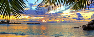 Tropical Beach Sunset Framed by Palm Fronds Over Calm Ocean Waters HD wallpaper