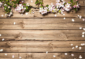 Spring Blossoms on Rustic Wooden Planks with Scattered Petals HD wallpaper