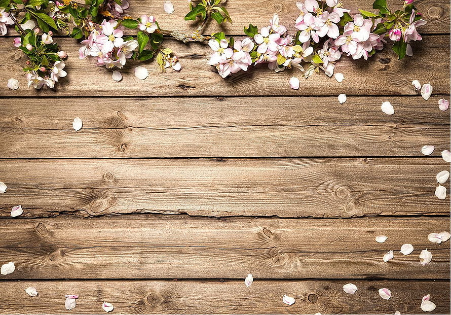 Spring Blossoms on Rustic Wooden Planks with Scattered Petals HD wallpaper