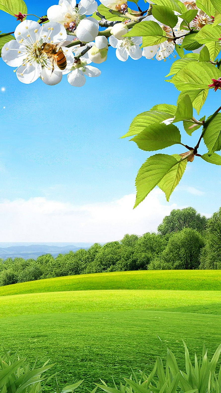 Spring Blossom Branch With Bee Over Lush Green Meadow And Blue Sky HD phone wallpaper