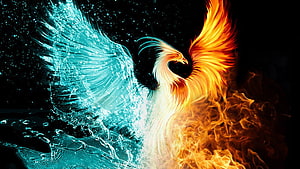 Majestic Phoenix Bird With Fire And Water Wings Against Dark Starry Background HD wallpaper