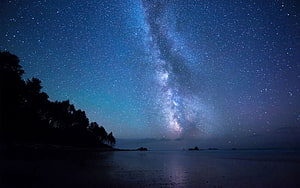Milky Way Galaxy Arching Over a Dark Shoreline with Silhouetted Trees and Calm Water HD wallpaper