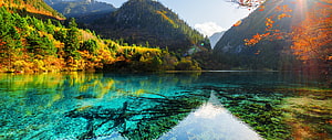 Crystal Clear Alpine Lake with Autumn Foliage and Mountain Reflections HD wallpaper