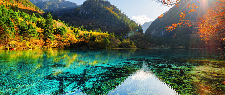 Crystal Clear Alpine Lake with Autumn Foliage and Mountain Reflections HD wallpaper