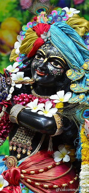 Ornate Krishna Murti Adorned With Peacock Feathers, Frangipani Flowers, And Traditional Jewelry HD phone wallpaper