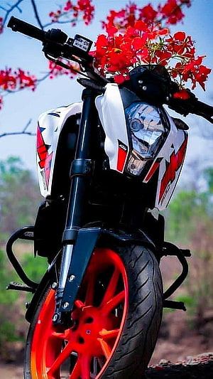 KTM Duke 200 Motorcycle with Red Wheels and Floral Arrangement HD phone wallpaper