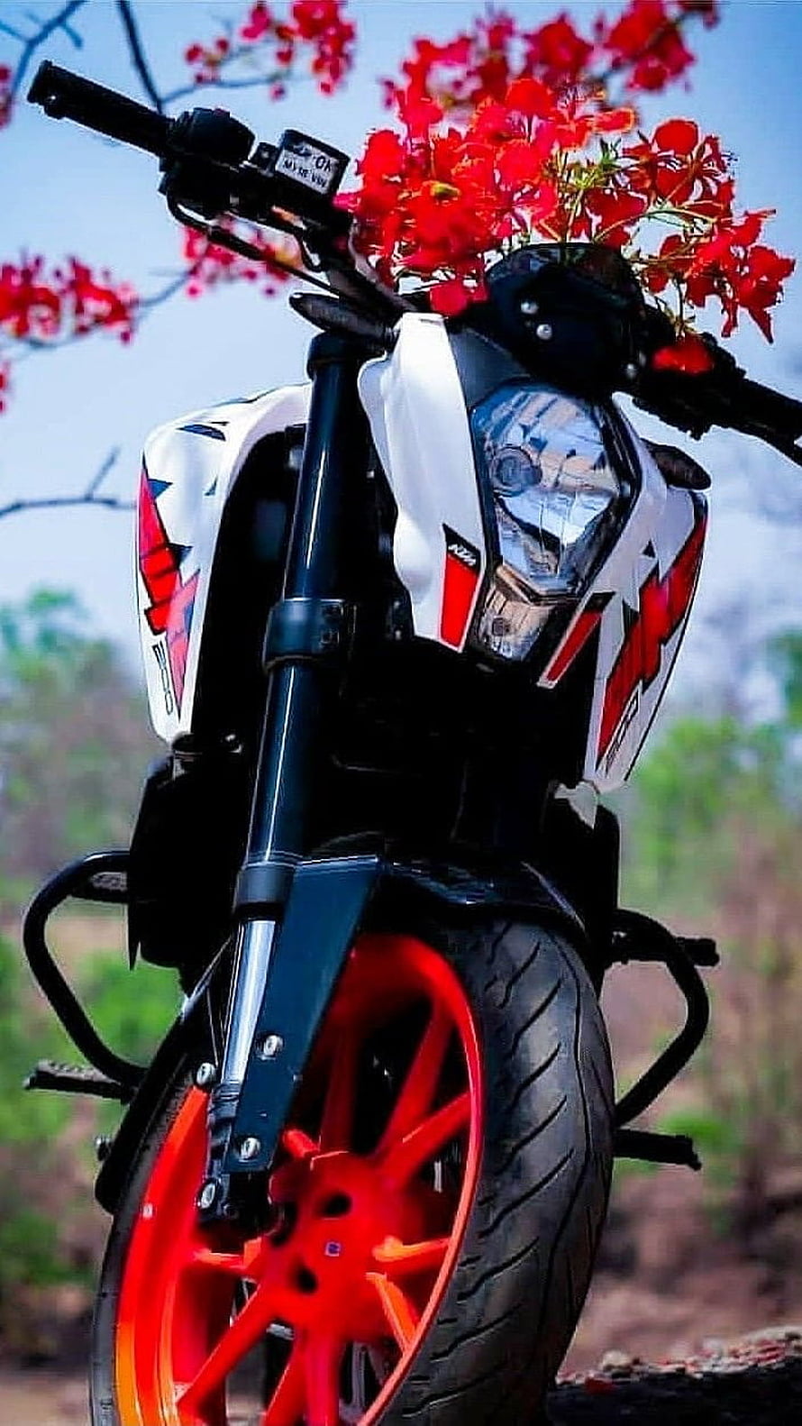 KTM Duke 200 Motorcycle with Red Wheels and Floral Arrangement HD phone wallpaper