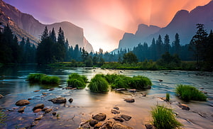 Yosemite National Park Valley at Dawn with River, Grass Tufts, and Granite Peaks HD wallpaper