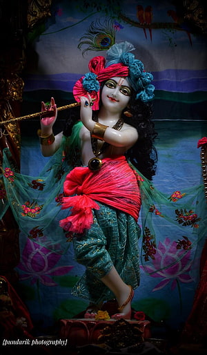 Krishna Playing Flute with Peacock Feather and Lotus Background HD phone wallpaper