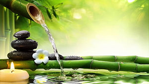 Tranquil Spa Scene With Bamboo Water Feature, Stacked Stones, Plumeria Flower, and Candlelight HD wallpaper